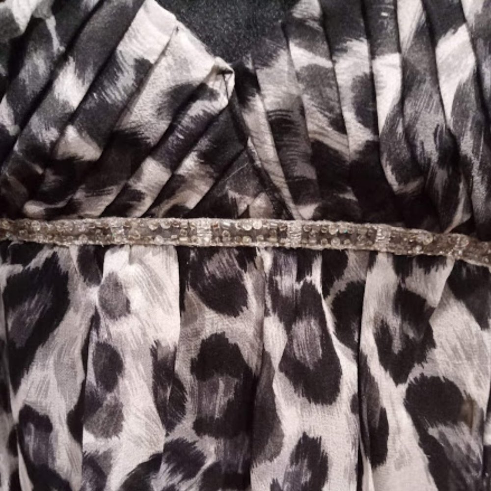 Leopard Print Dress - Picture 2 of 4